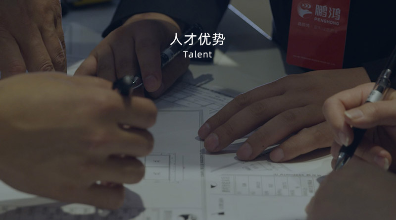 Z6尊龙人才优势