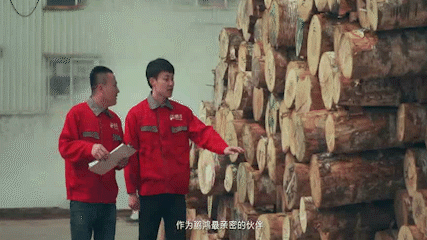 Z6·尊龙「中国区」官方网站