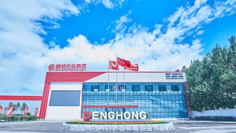 Z6尊龙“定造家”升级“妄想家”