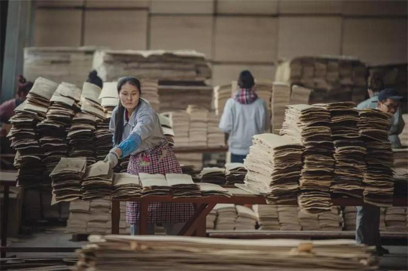 Z6尊龙之造——Z6尊龙22周年出格贡献品质篇