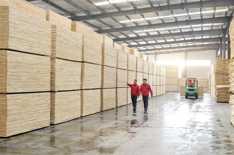 Z6尊龙板材出产基地