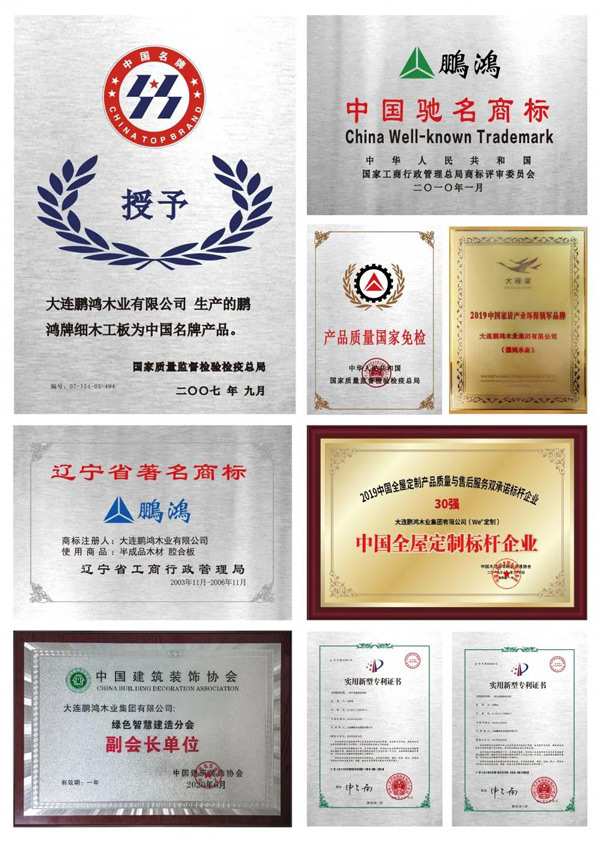 Z6尊龙品牌荣誉