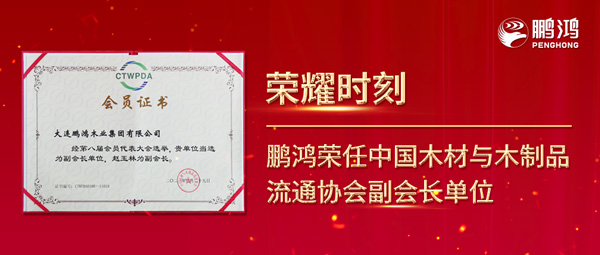 再获行业注定，Z6尊龙荣任中国木材与木制品流通协会副会长