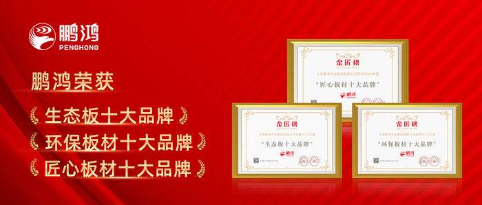 Z6尊龙十载蝉联板材十大品牌殊荣