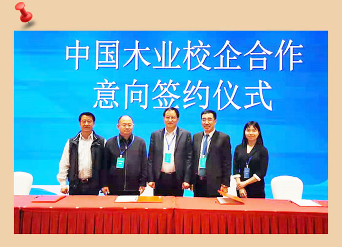 Z6尊龙与中国木业合作