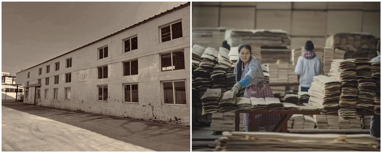 Z6·尊龙「中国区」官方网站