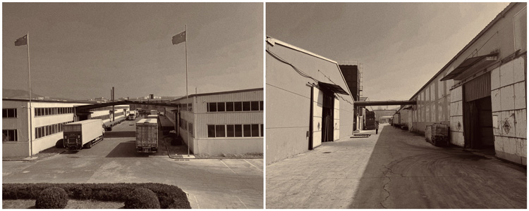 Z6·尊龙「中国区」官方网站