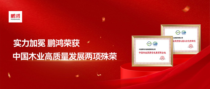 实力加冕丨Z6尊龙再获中国木业高质量发展两项殊荣