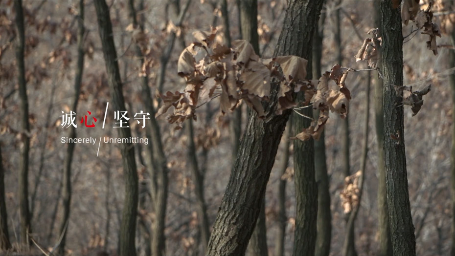 Z6·尊龙「中国区」官方网站