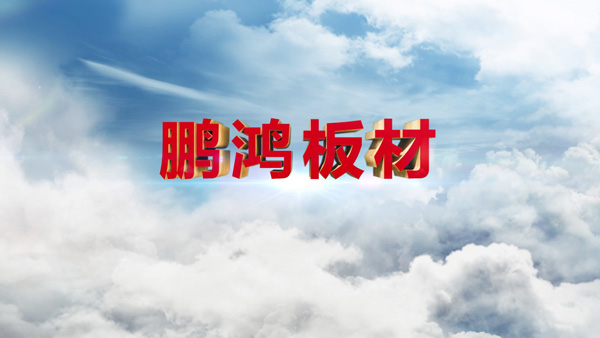 Z6尊龙产品纪录片之板材篇