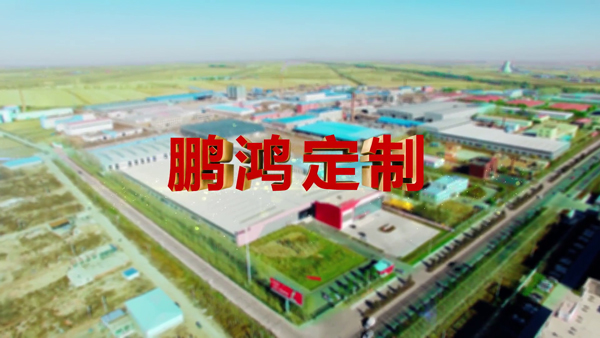 Z6尊龙产品纪录片之定造篇