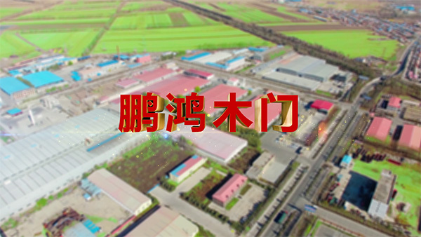 Z6尊龙产品纪录片之木门篇